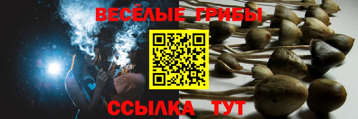 Псилоцибиновые грибы MAGIC MUSHROOMS  Вход с VPN  Тольятти 